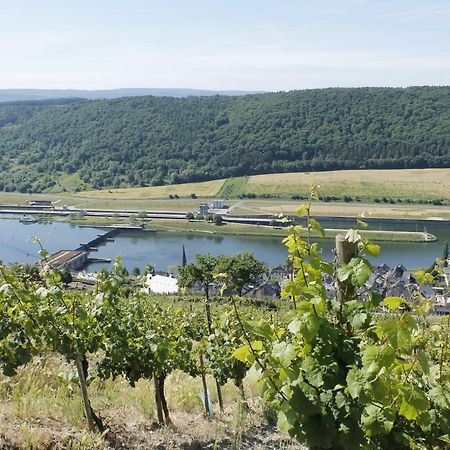 Ferienhaus Moselblick Mit Kostenfreien Oepnv-Ticket Ürzig Eksteriør billede