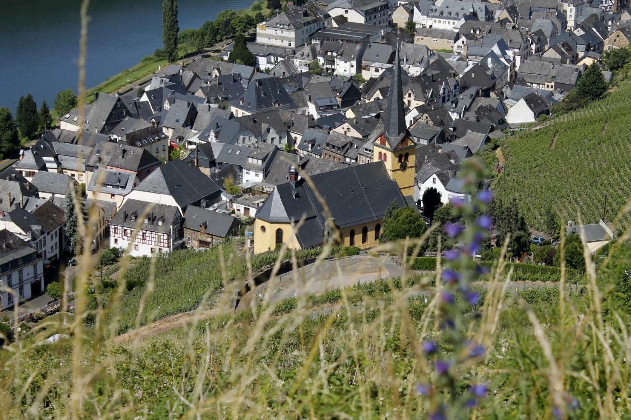Ferienhaus Moselblick Mit Kostenfreien Oepnv-Ticket Ürzig Eksteriør billede